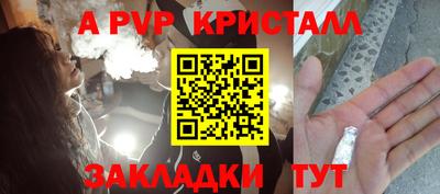 прущие крисы Донской