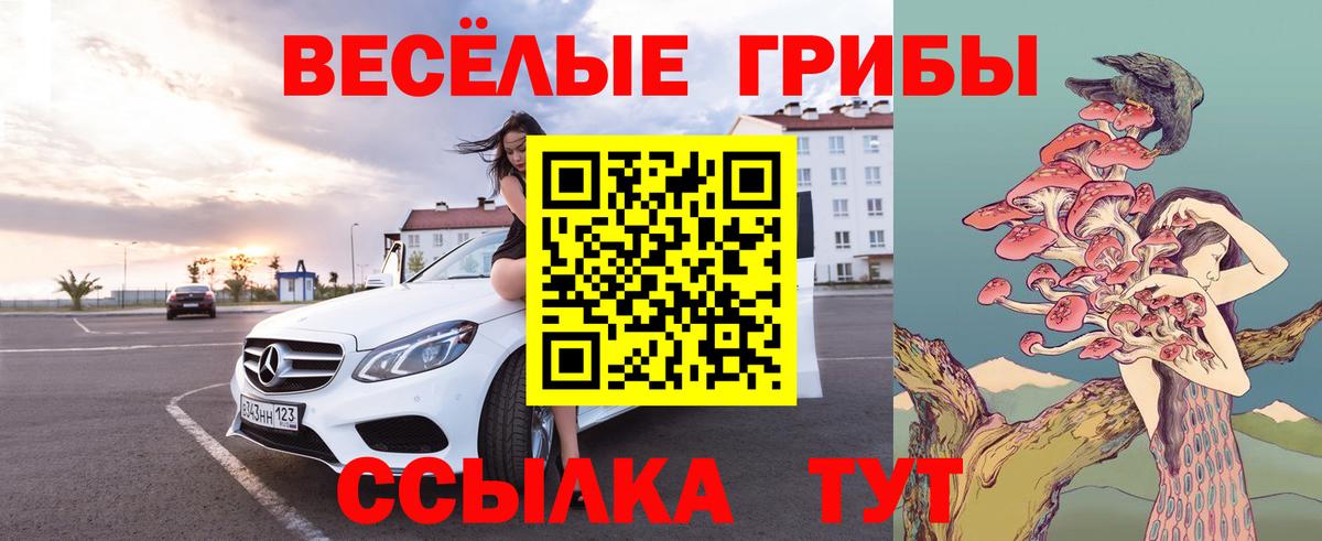 Псилоцибиновые грибы мицелий  Вход с VPN  купить  сайты  Чехов 